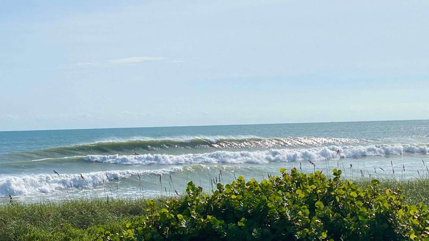Waves breaking on a beach with green vegetation in the foreground.