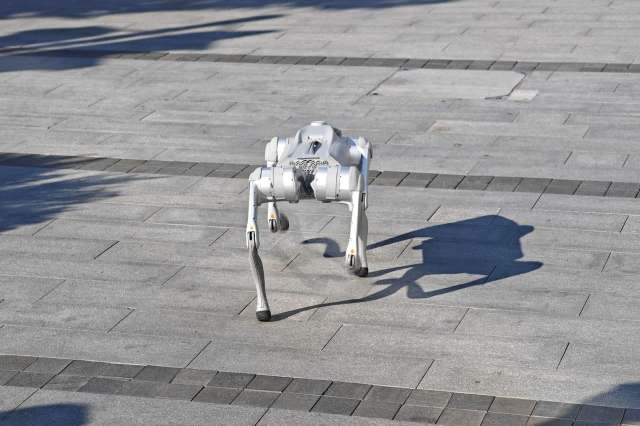A robot dog.