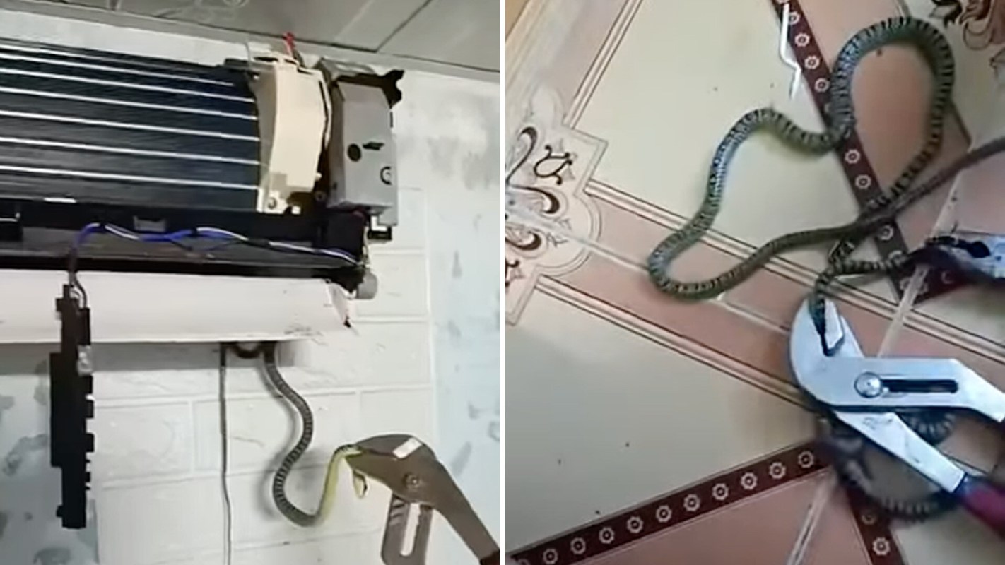 A snake is seen near an air conditioning unit and a pair of pliers on the floor.