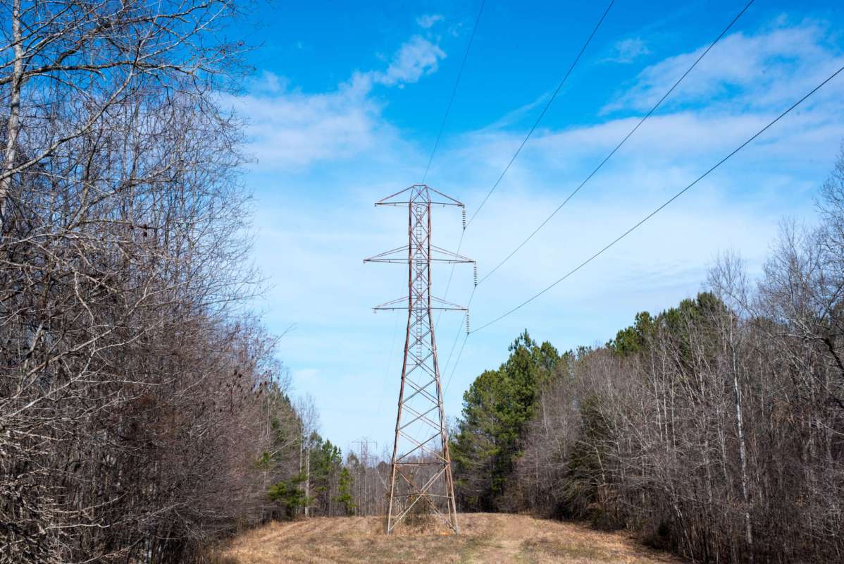 Transmission towers in a forest corridor.