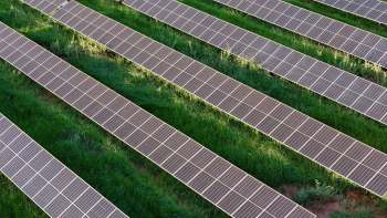 Rows of solar panels installed on grassy land.