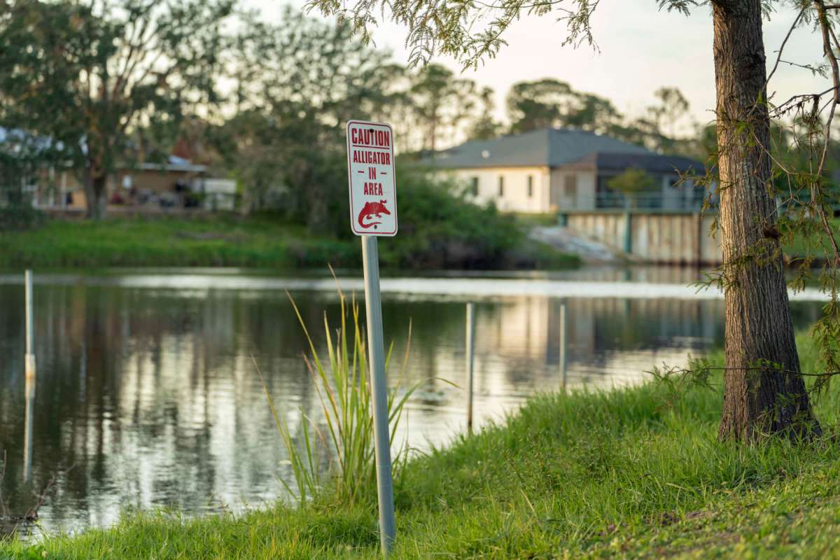 A warning sign for alligators in a residential area.