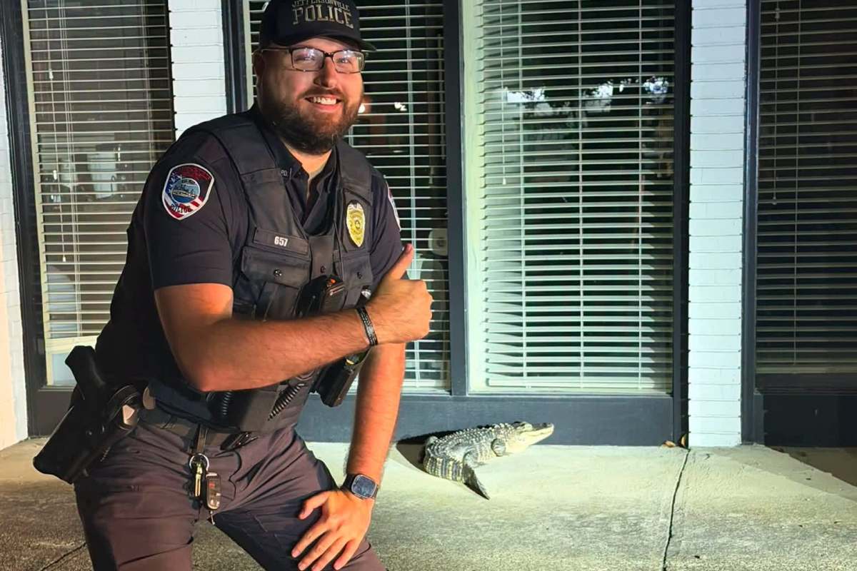 A police officer poses next to an alligator on a sidewalk in front of a building.