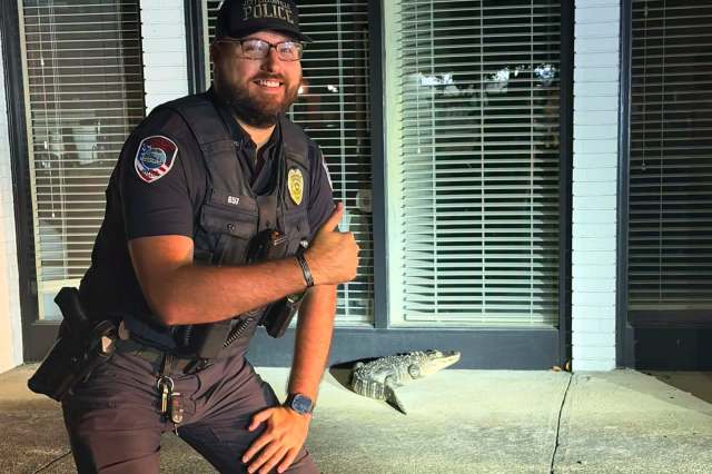 A police officer poses next to an alligator on a sidewalk in front of a building.