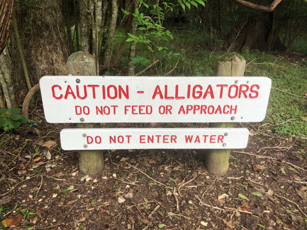 A warning sign advises caution about alligators, prohibiting feeding, approaching, or entering the water.