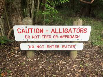 A warning sign advises caution about alligators, prohibiting feeding, approaching, or entering the water.