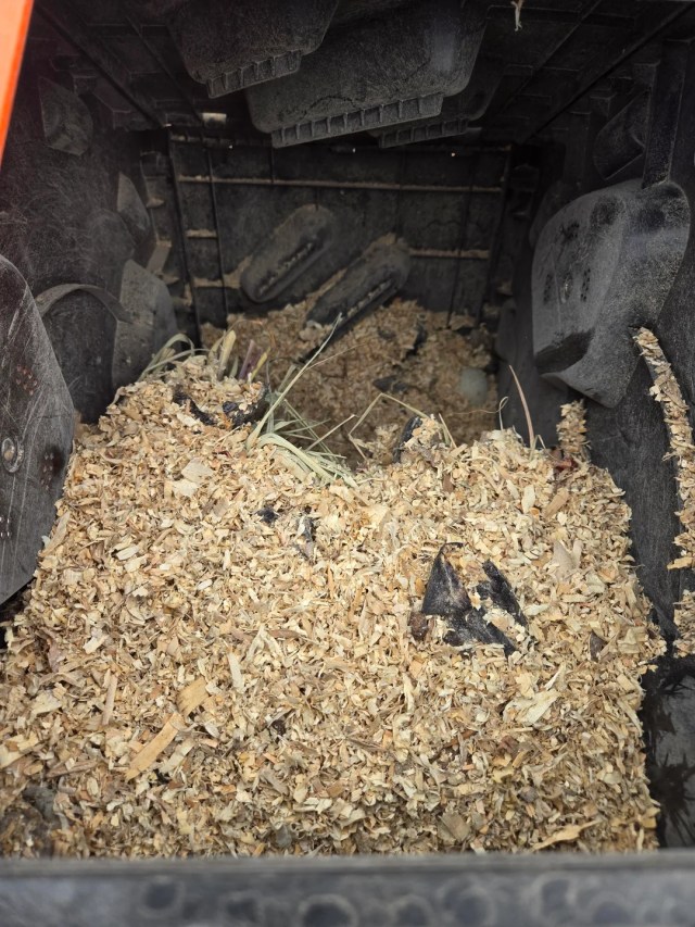 Chicken manure, coop shavings, produce scraps, and eggshells in the bin.