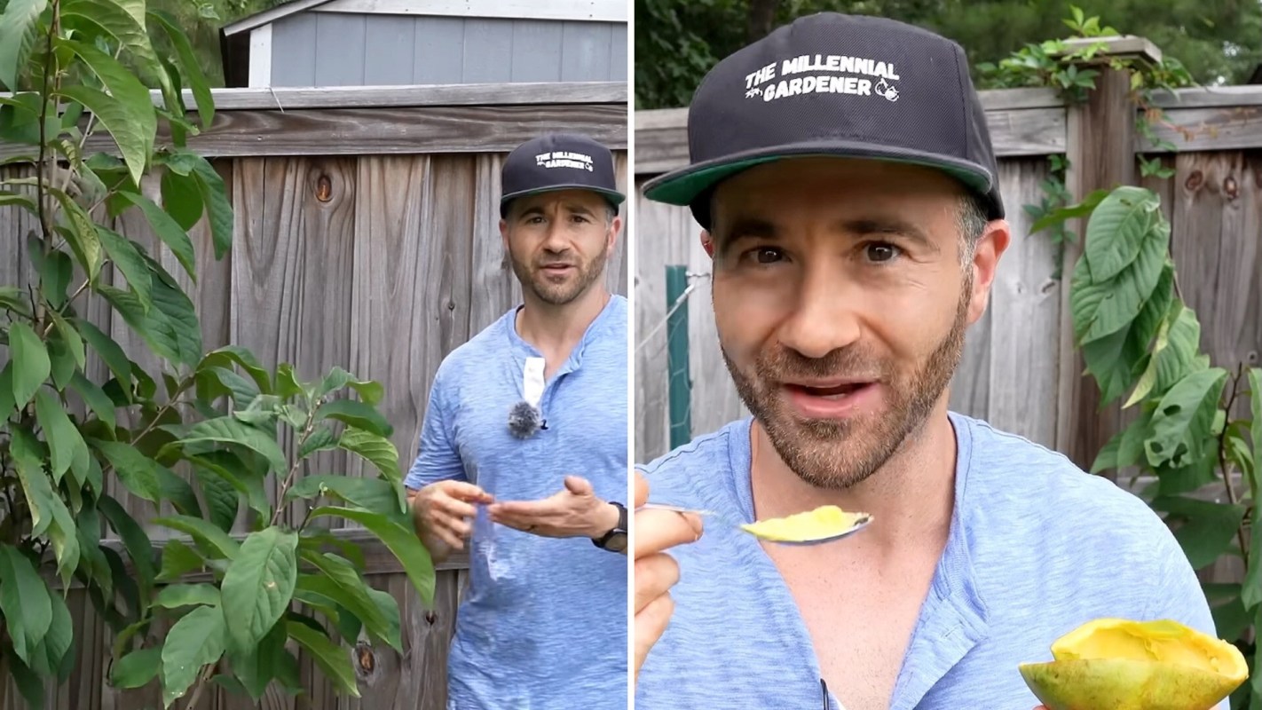 A man holds a spoon with yellow fruit while standing near a wooden fence and plants.