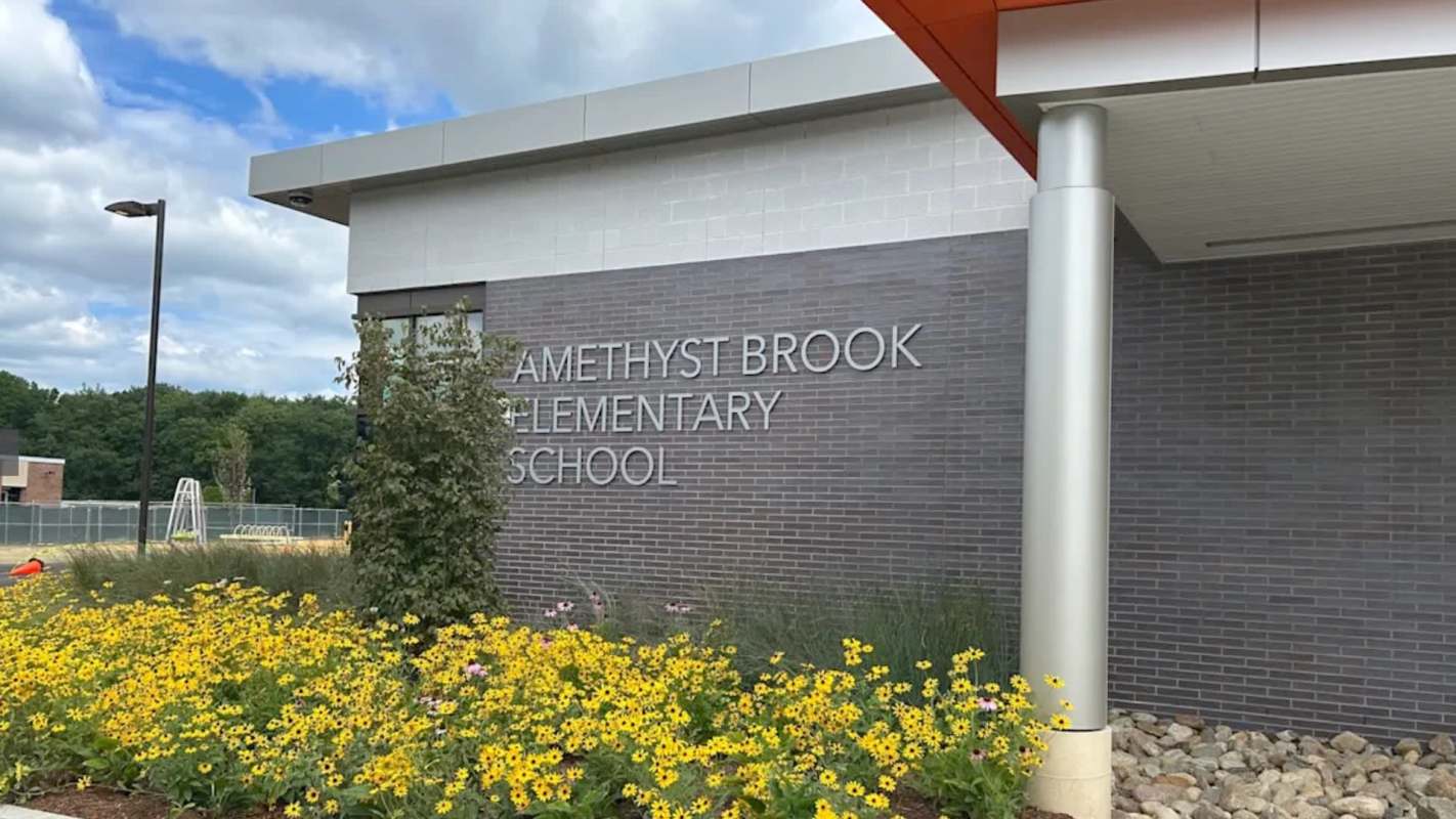 Amethyst Brook Elementary School building with a garden of yellow flowers in the foreground.