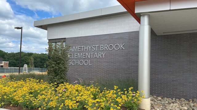 Amethyst Brook Elementary School building with a garden of yellow flowers in the foreground.