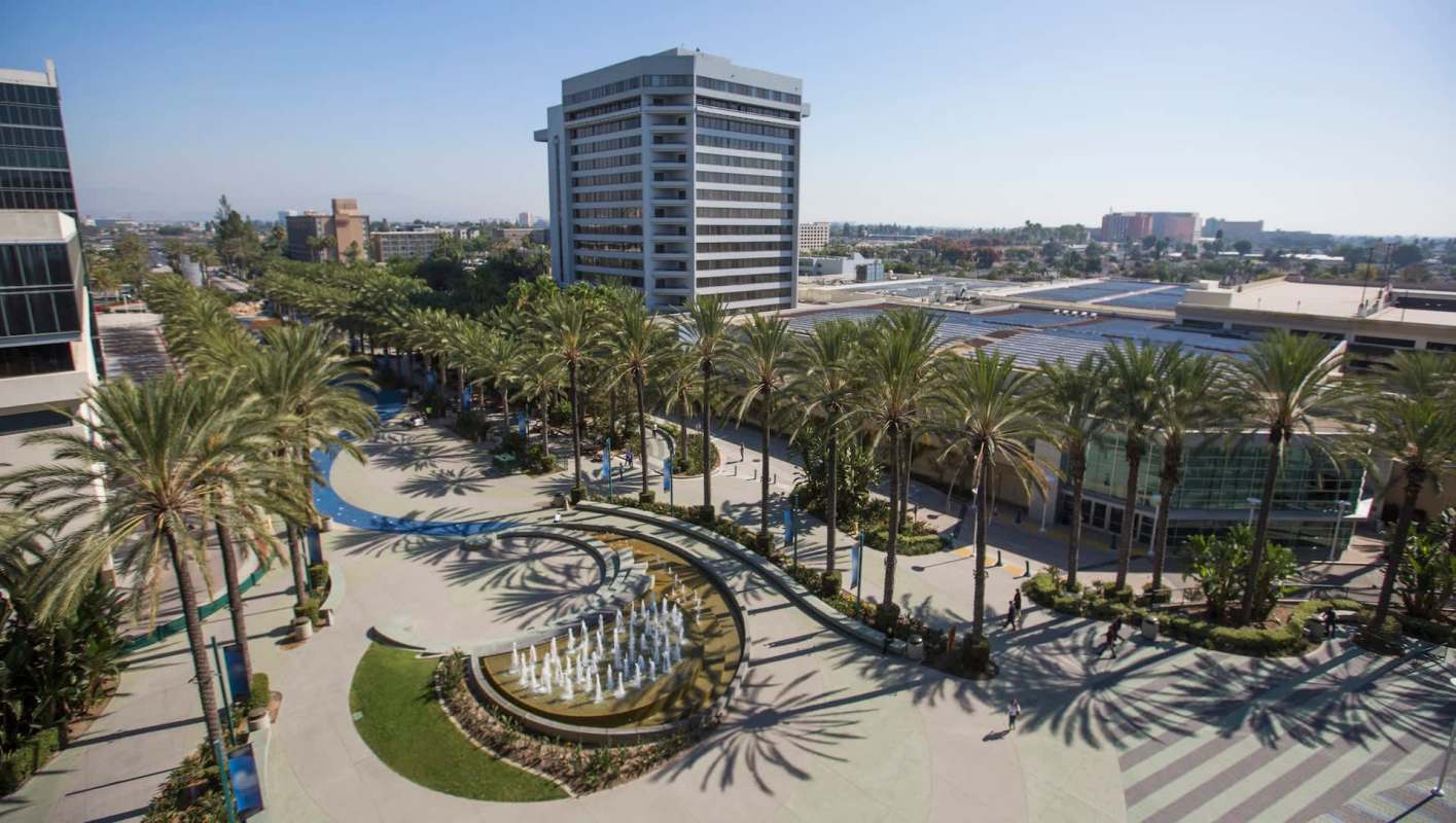 A view of a landscaped plaza with palm trees and a fountain, surrounded by modern buildings.