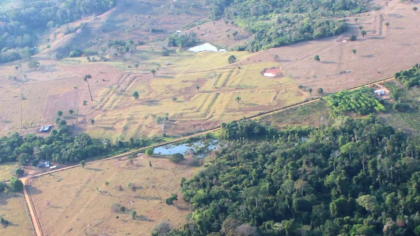 Aerial view of a landscape with fields, patches of forest, and a small body of water.