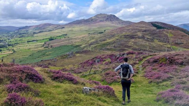 A hiker on Carlingford Mountain.