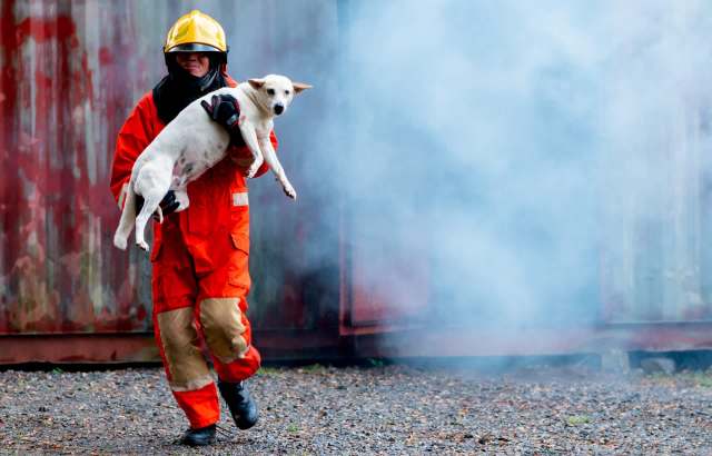 A person in an orange uniform carries a white dog through a smoky area.