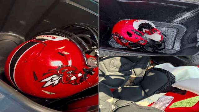 A snake in a football helmet.