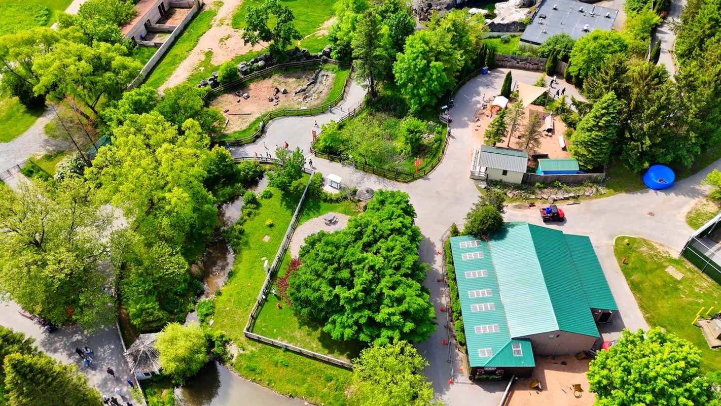 An aerial view of a park featuring pathways, trees, a pond, and several buildings.