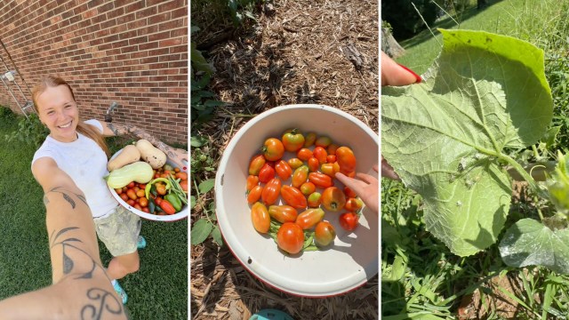 A person holds a large bowl of freshly harvested vegetables in a garden.