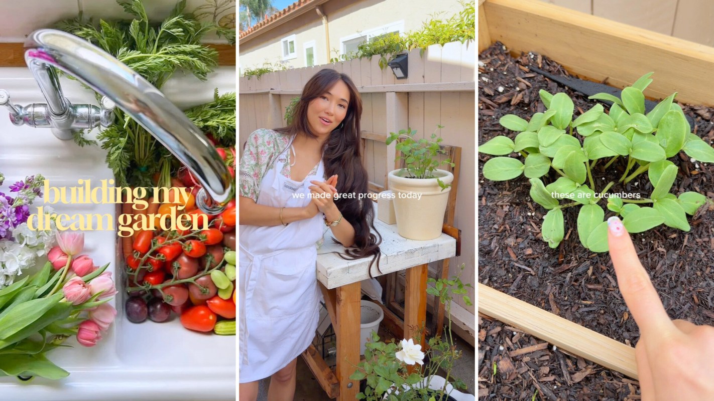 A collection of fresh produce and flowers alongside a woman tending to her garden and young cucumber plants.