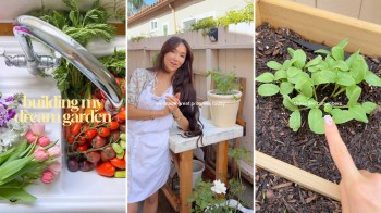 A collection of fresh produce and flowers alongside a woman tending to her garden and young cucumber plants.