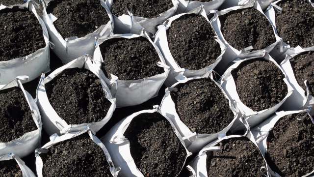 Several bags filled with dark soil are arranged in a grid pattern.