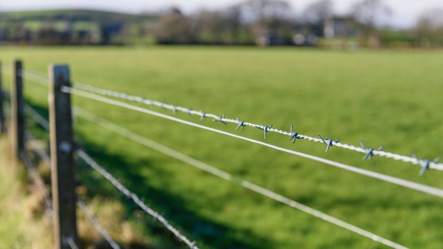 A barbed wire fence.