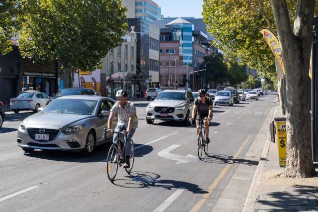 Two cyclists ride on a street with moving cars and trees lining the roadside.