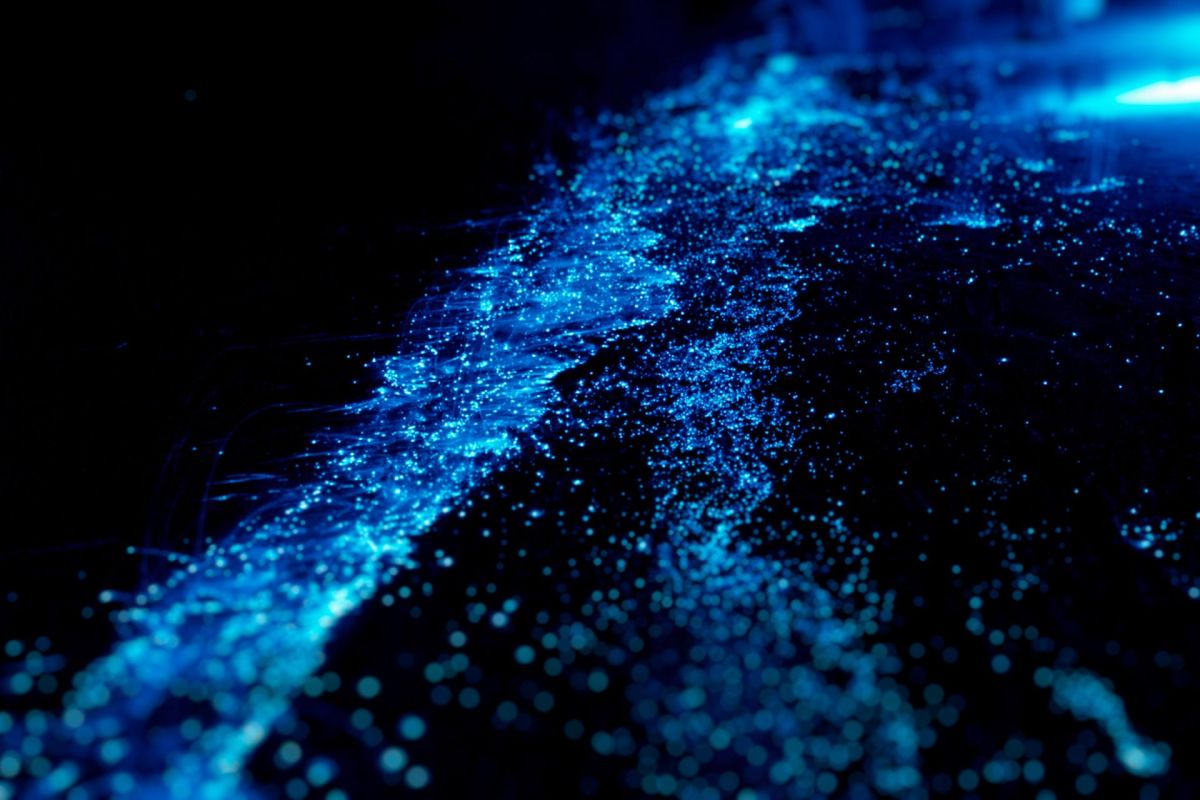 Blue bioluminescence in water.