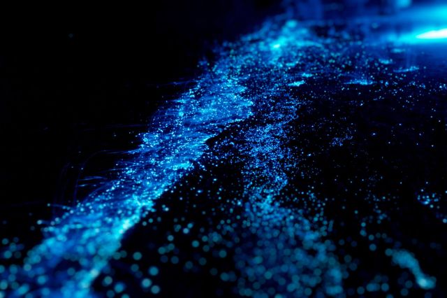 Blue bioluminescence in water.
