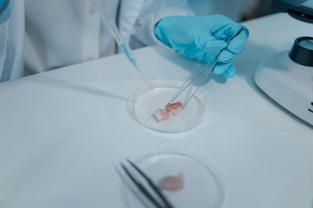 A hand in a glove uses tweezers to hold a small tissue sample in a petri dish.