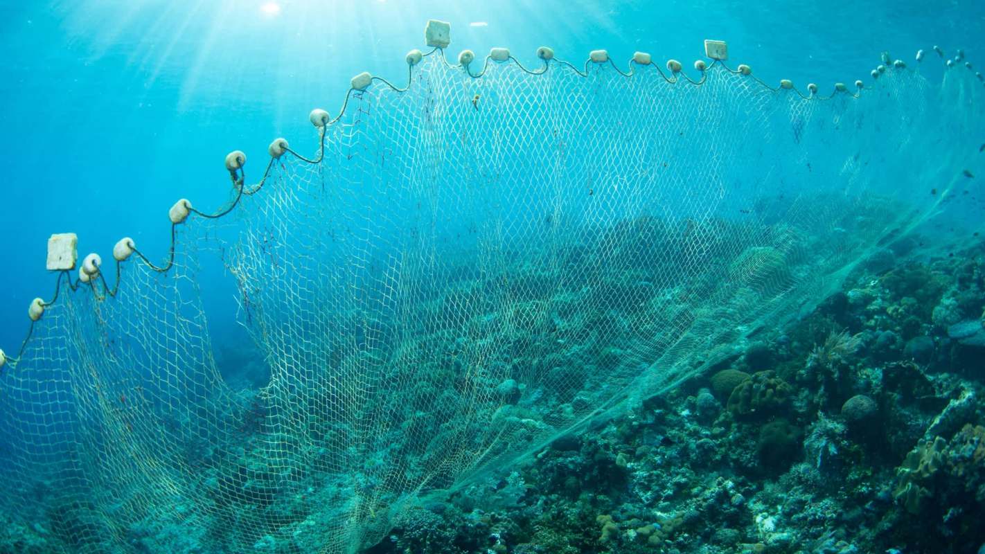 A fishing net submerged in clear blue water over a coral reef.