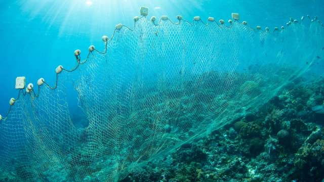 A fishing net submerged in clear blue water over a coral reef.