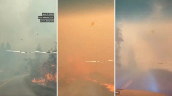 An evacuee fleeing a wildfire.
