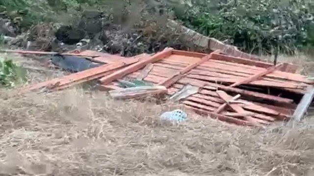 A collapsed wooden structure surrounded by dry grass and vegetation.