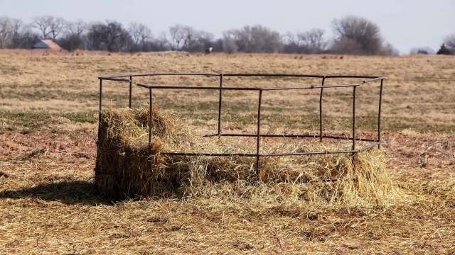 A metal hay feeder surrounded by dry grass in a field.