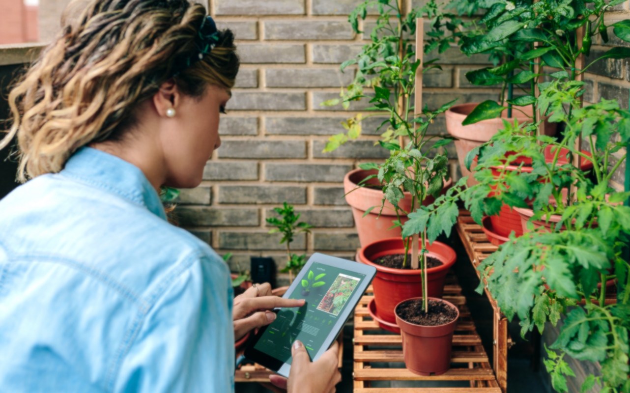 A woman using a tablet while standing beside potted plants on a balcony.