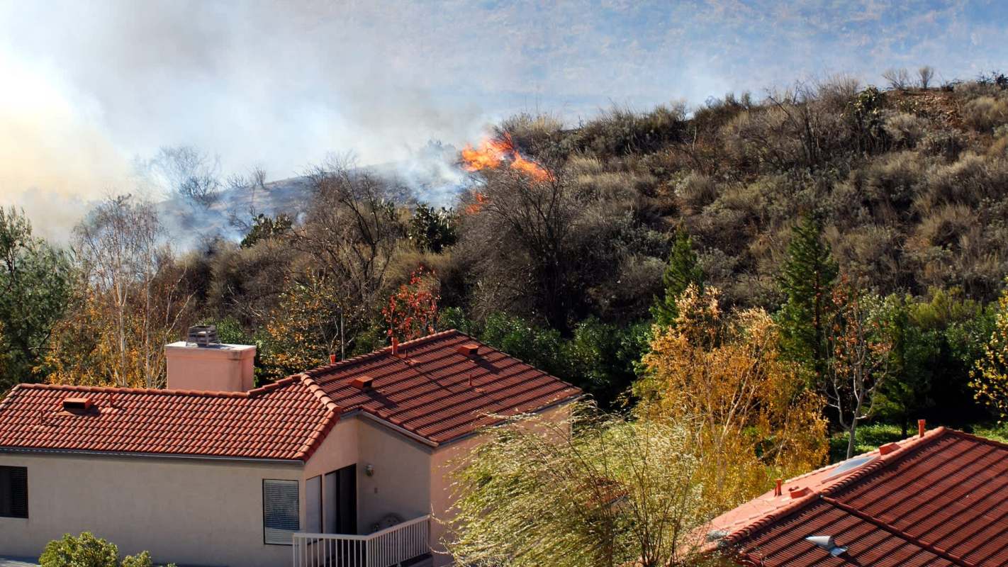 Flames and smoke rise from a hillside near residential houses surrounded by trees and shrubs.