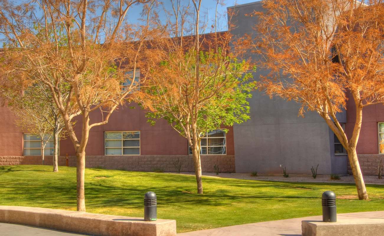 A landscaped area with green grass, trees, and a building with large windows in the background.