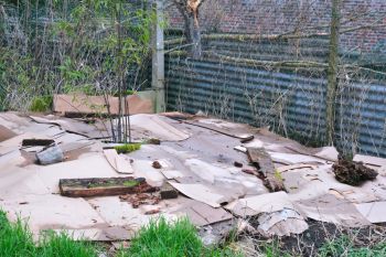 A patch of ground covered with cardboard, wood pieces, and sparse vegetation.