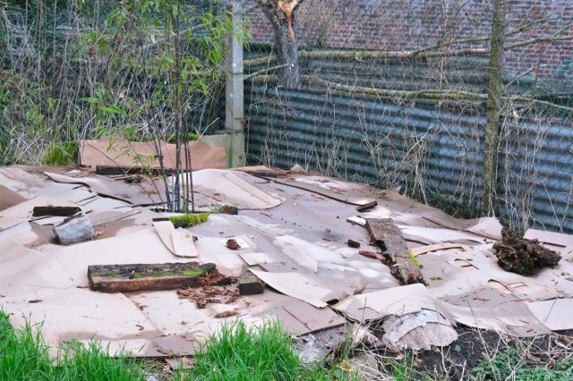 A patch of ground covered with cardboard, wood pieces, and sparse vegetation.