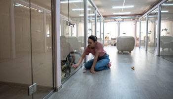 A person interacting with a cat in a glass enclosure.