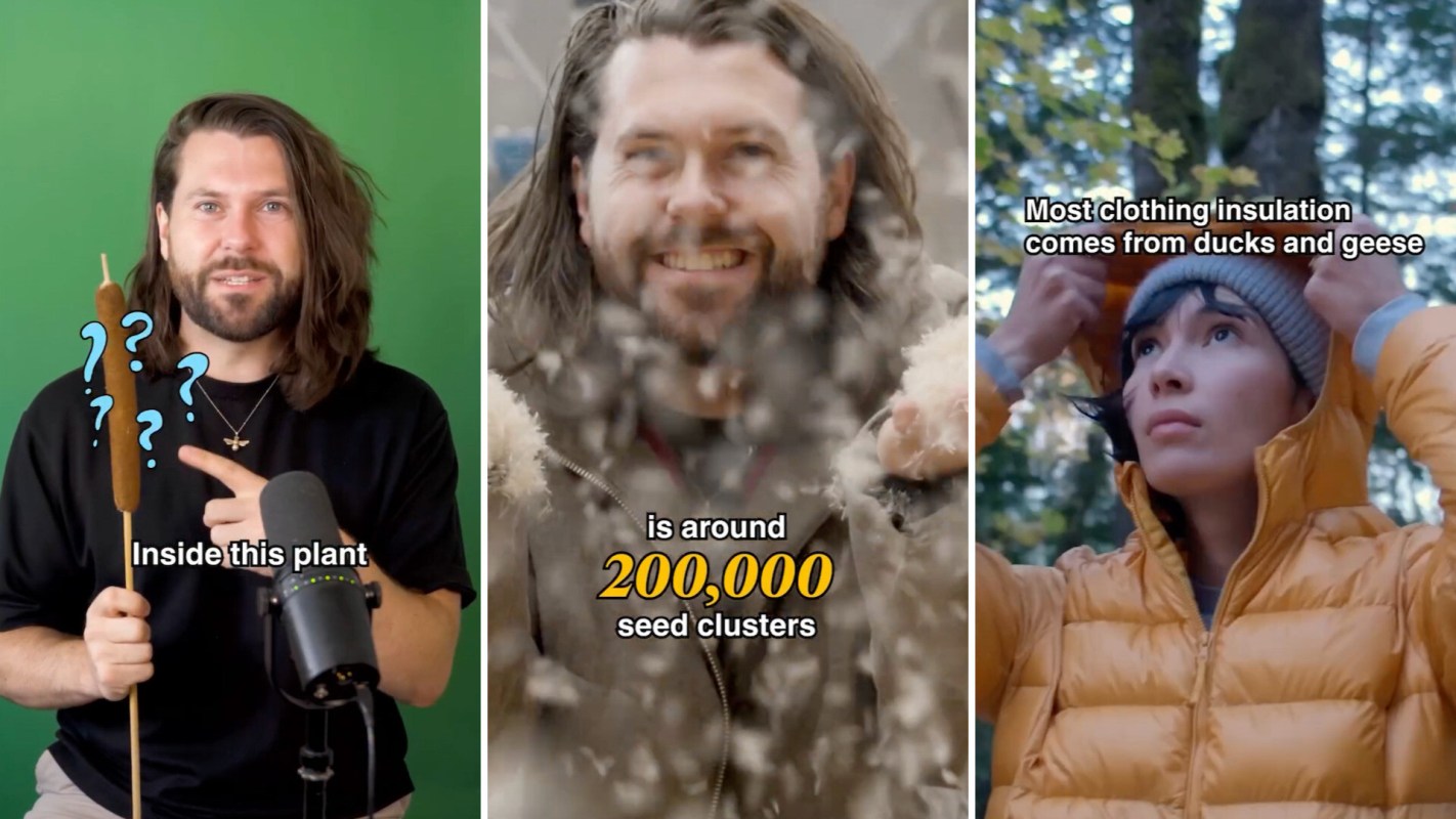 Three images: a man holding a plant, a smiling man surrounded by seeds, and a woman putting on a jacket outdoors.