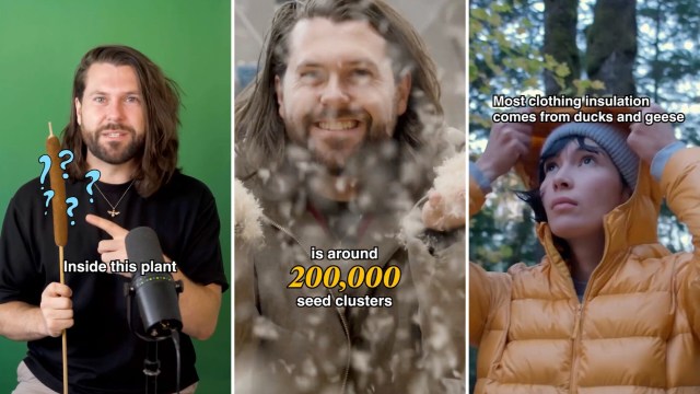 Three images: a man holding a plant, a smiling man surrounded by seeds, and a woman putting on a jacket outdoors.