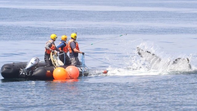 Four people in a boat are engaging with a whale in the water, with splashes visible.