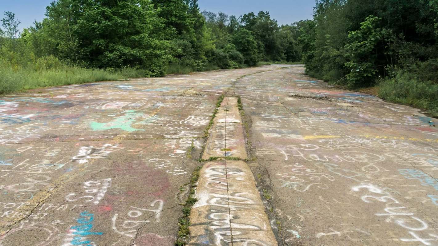 A cracked concrete surface of an abandoned road covered in colorful graffiti, bordered by lush greenery.