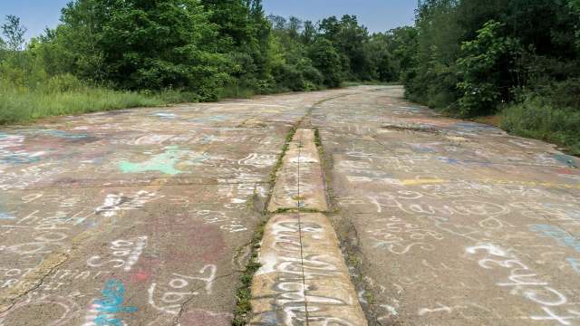 A cracked concrete surface of an abandoned road covered in colorful graffiti, bordered by lush greenery.