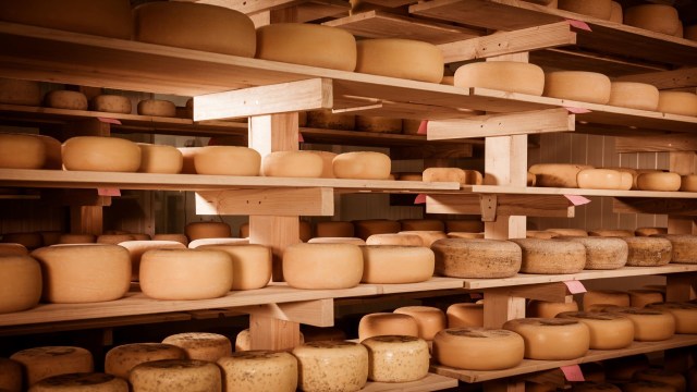 Shelves filled with various types of cheese with yellow rinds in a storage area.