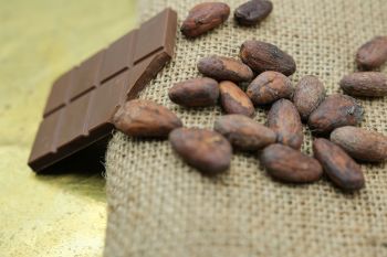 A chocolate bar sits next to cocoa beans