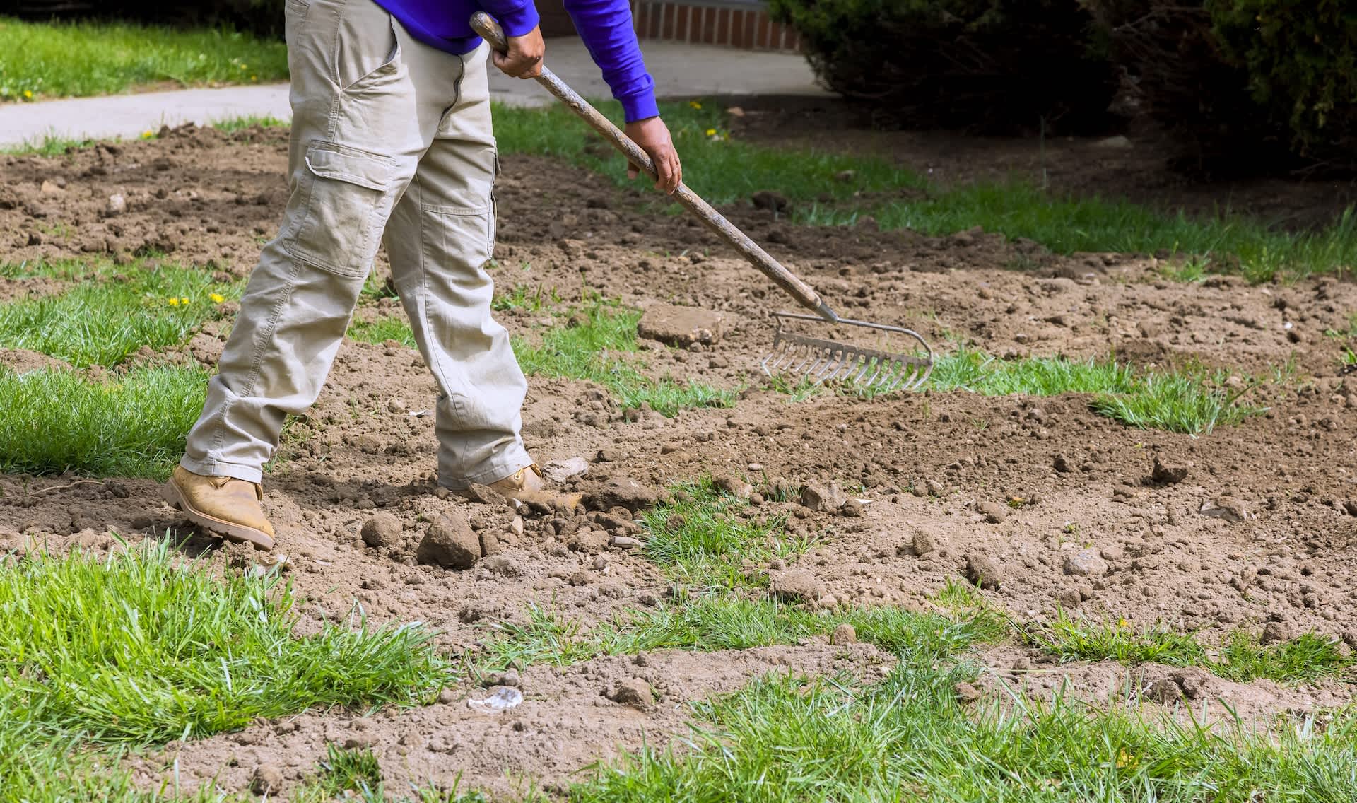 California water customers can get up to $3,000 to rip out grass and replace it with plants