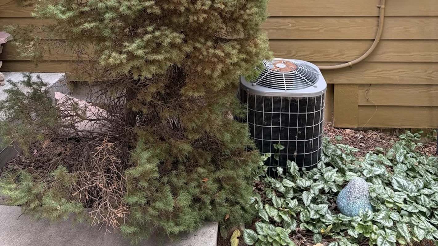 A bush beside an air conditioning unit and decorative stones with green ground cover.