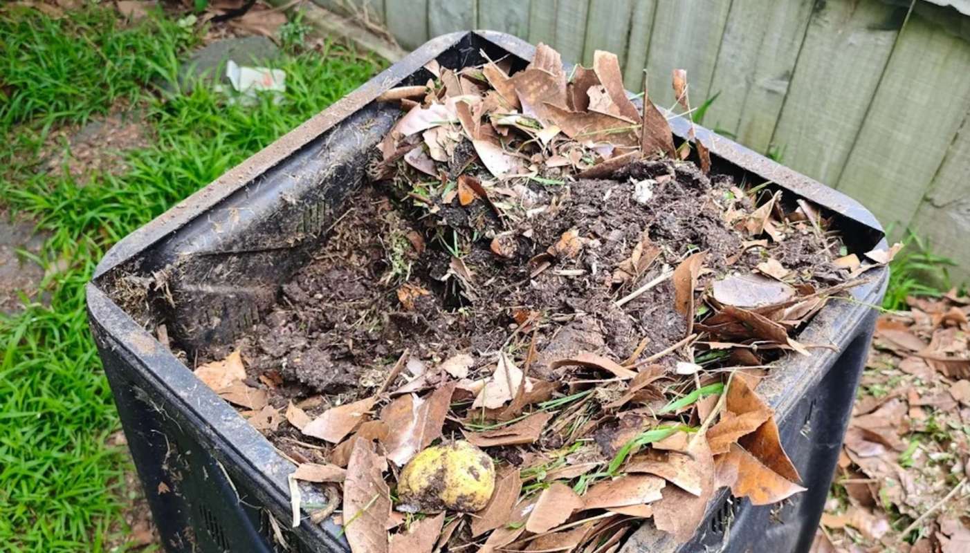A compost bin.